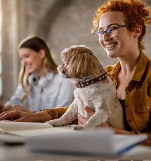 Partner with Novo3 for Tailored, Trusted, Technology Solutions